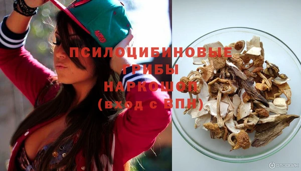 стафф Абинск