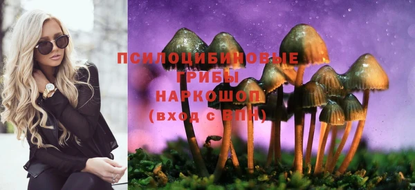 стафф Абинск