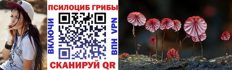 Галлюциногенные грибы мухоморы  купить наркоту  Подольск 